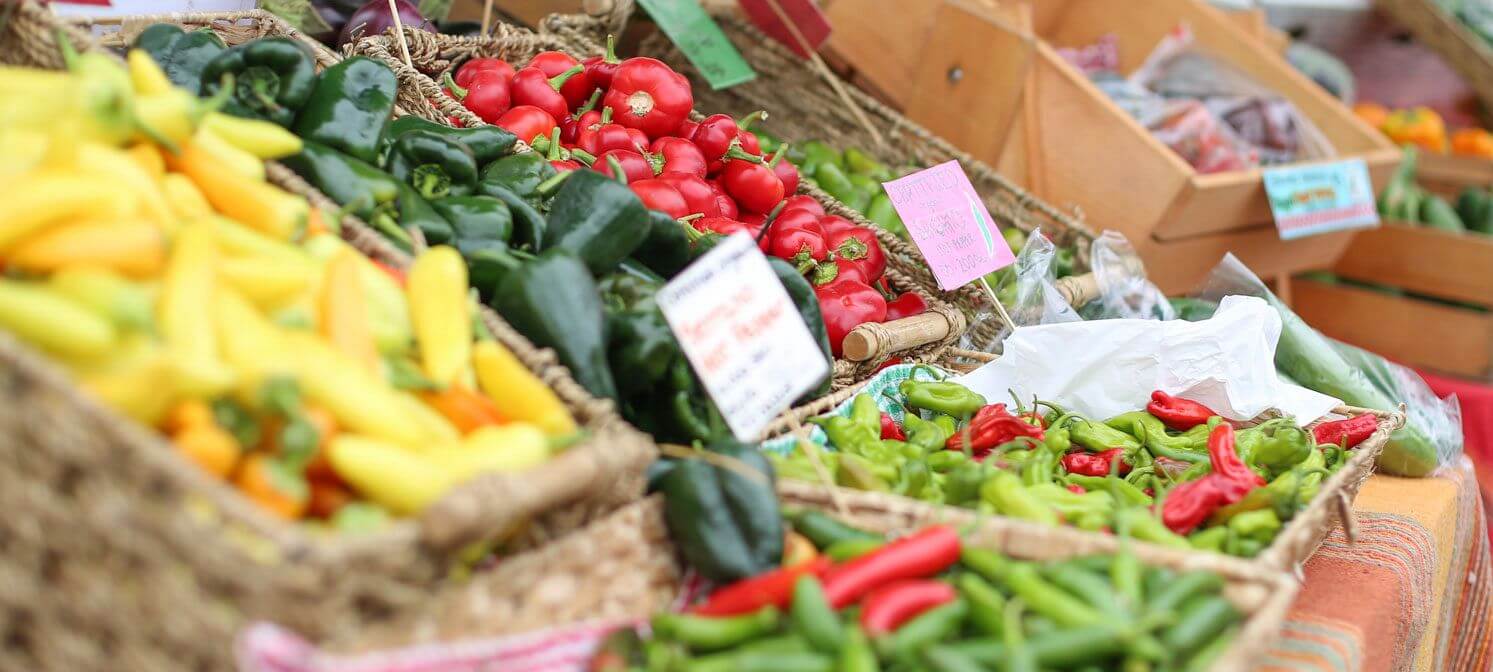 VanWest College Kelowna students visiting a local farmers market